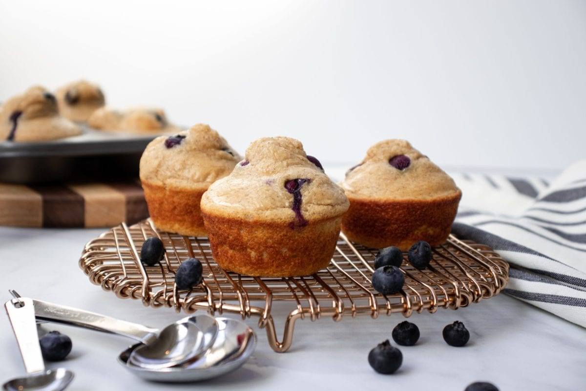 Blueberry Pancake Protein Muffins