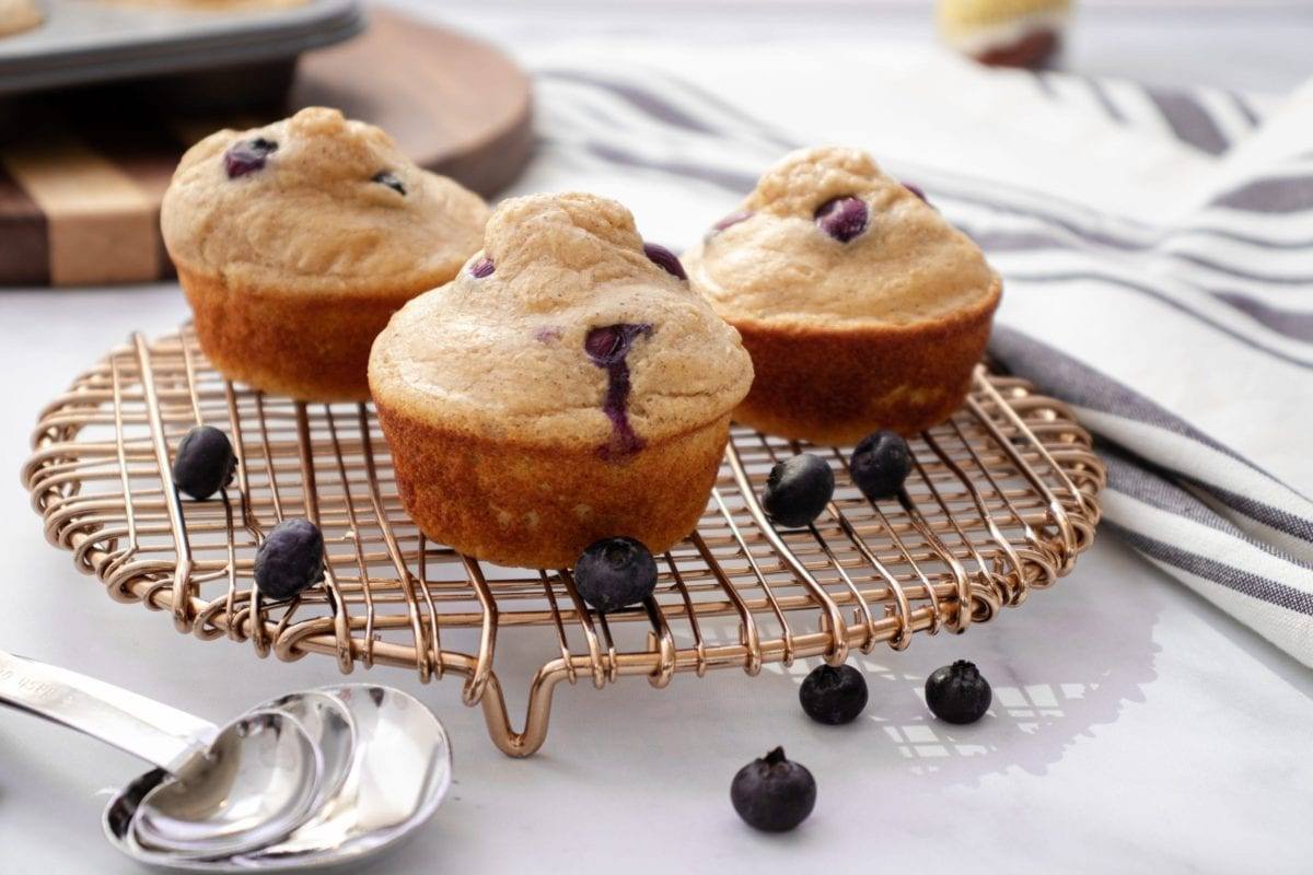 Blueberry Pancake Protein Muffins