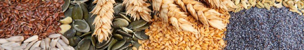 Pantry Staples Master List Assorted Seeds, Grains, and Rice